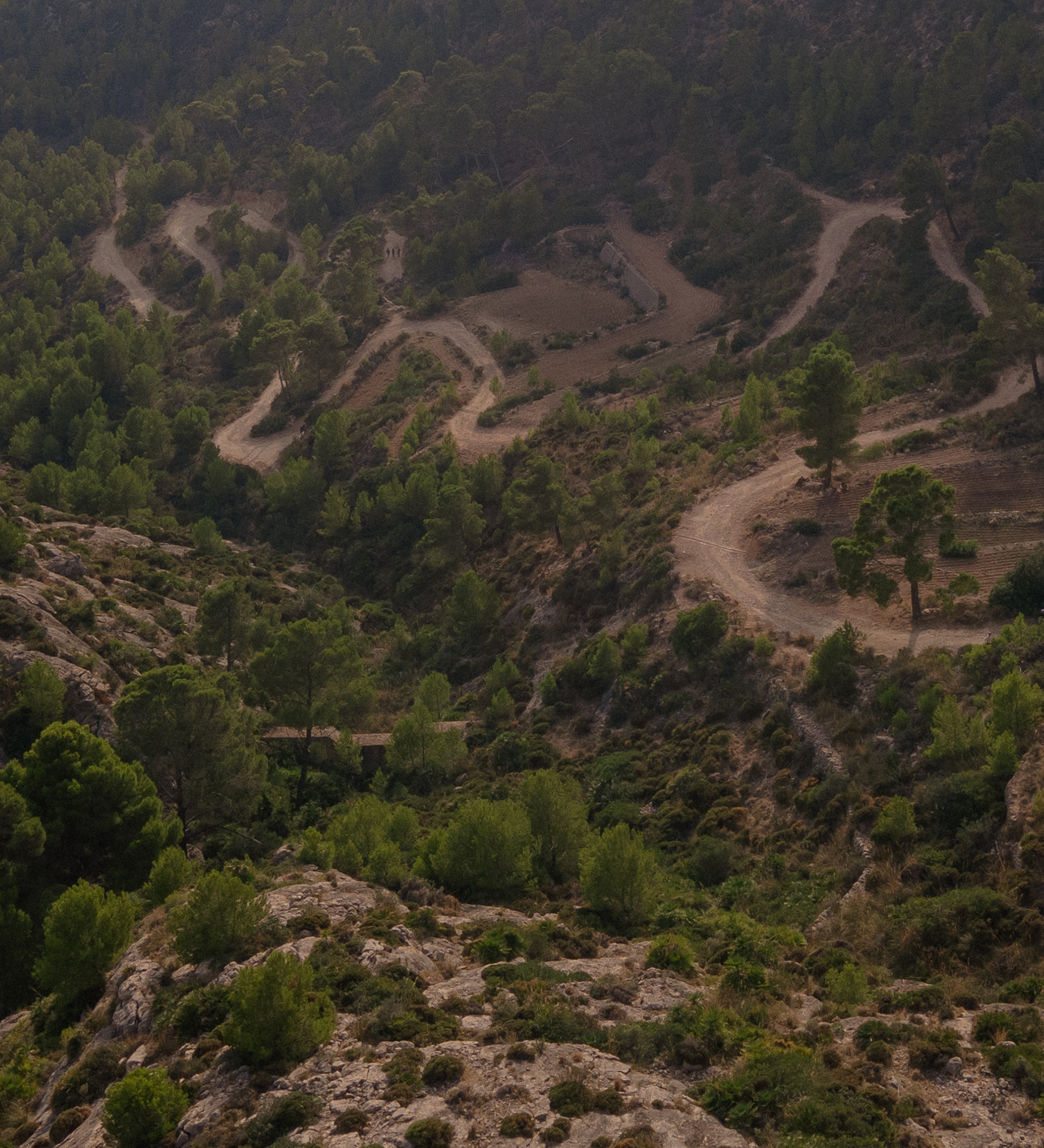 Sentier sinueux à flanc de montagne
