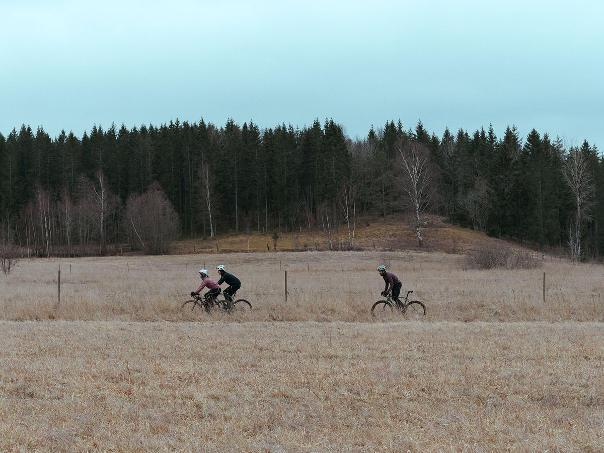Three cyclists ride across a dry grass field with a line of evergreen trees in the background under an overcast sky.