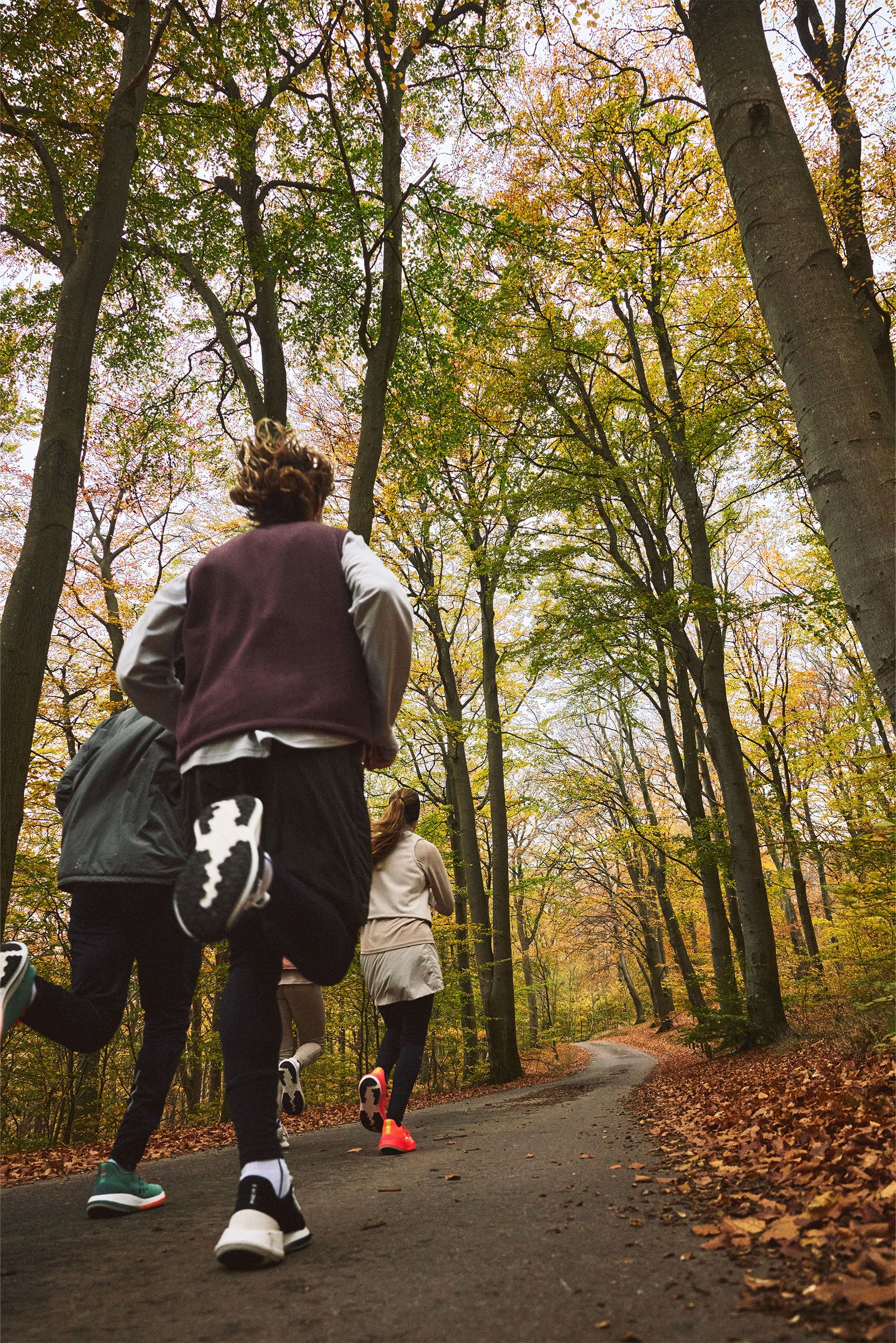 Three people running on a path through a forest with autumn foliage.