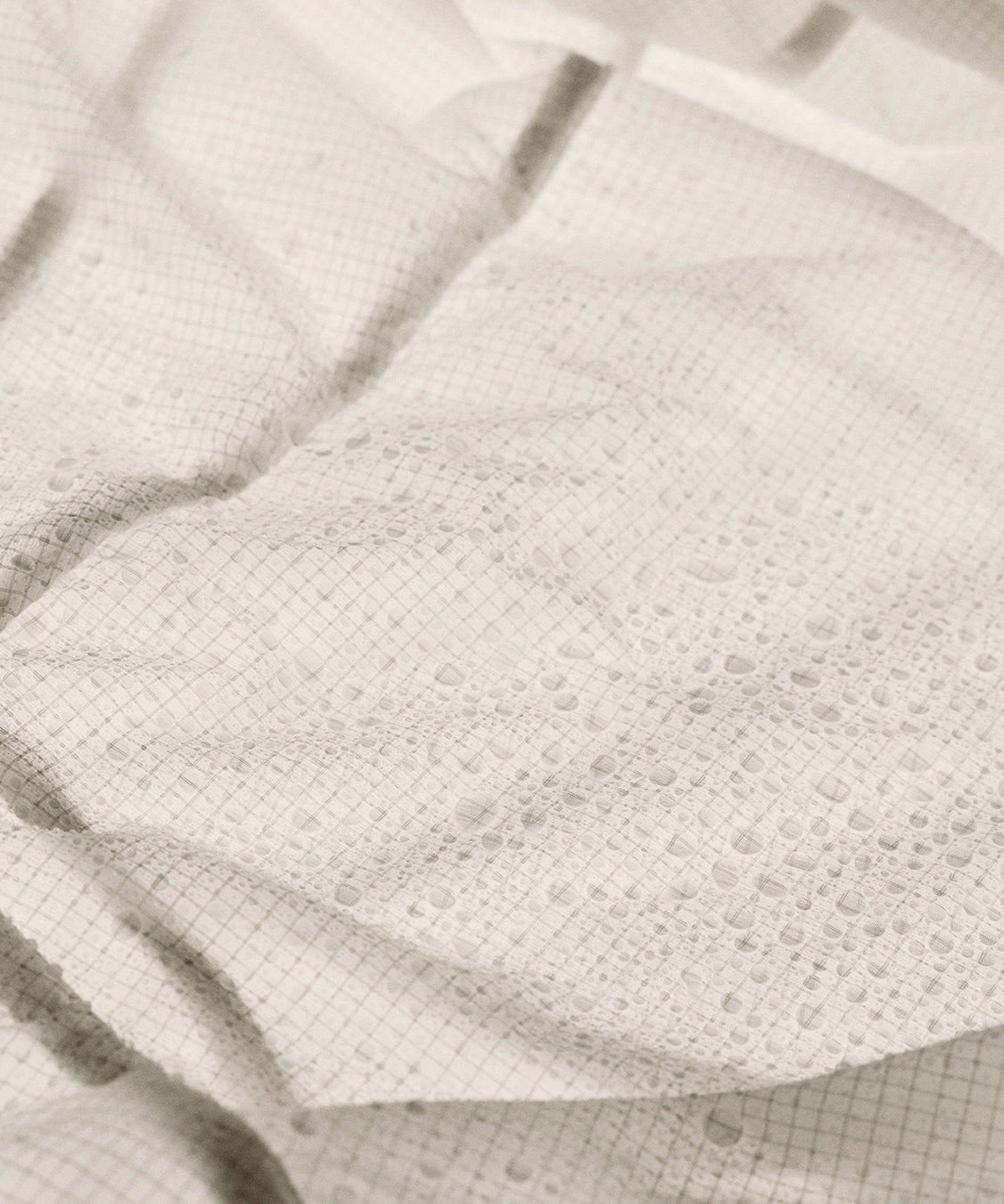 Image de diapositive