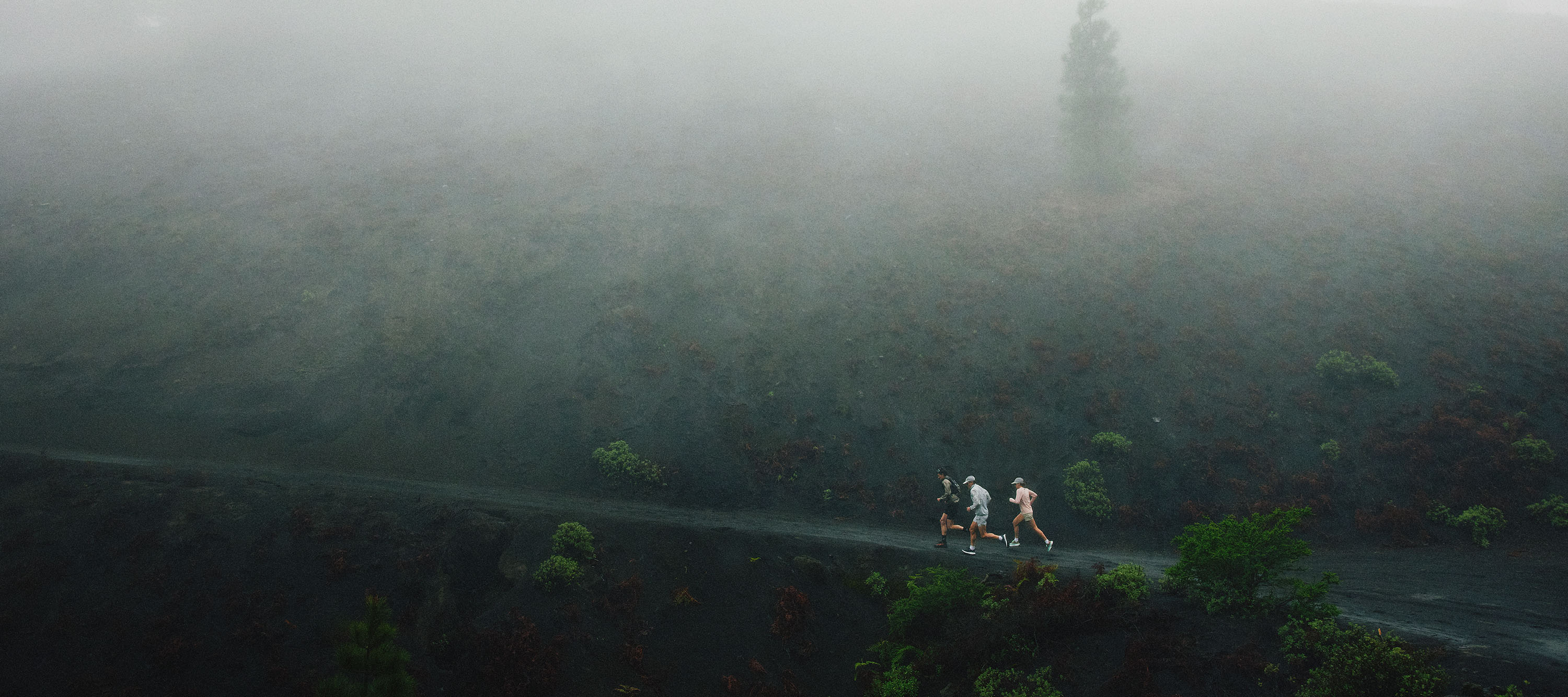 Two people running on a misty forest path