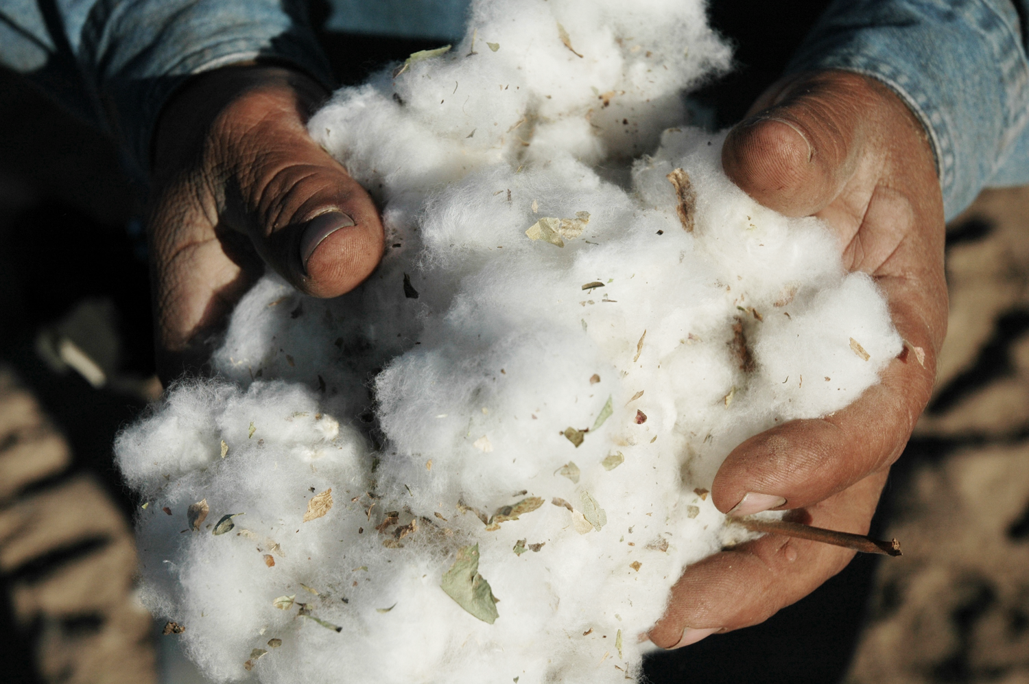 Full traceability for all products by 2025